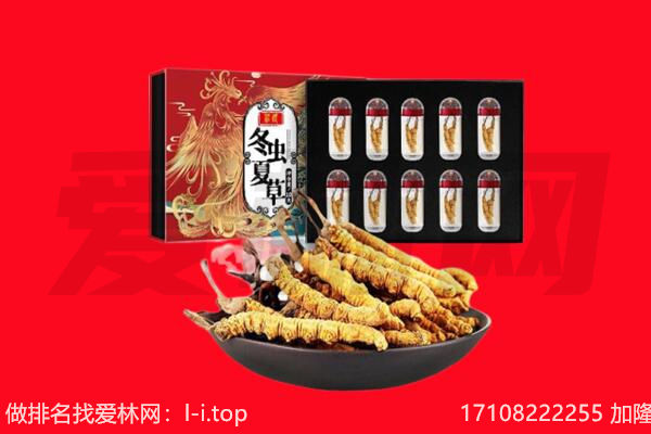 那曲回收虫草.jpg
